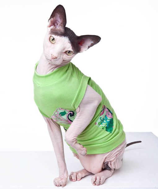 Sphynx Cat Clothes – Sphynx Cat Wear